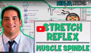 Free Online Anatomy Classes example